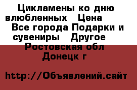 Цикламены ко дню влюбленных › Цена ­ 180 - Все города Подарки и сувениры » Другое   . Ростовская обл.,Донецк г.